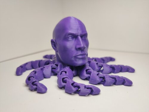 The Octorock — a 3D printed octopus with The Rock's face, one of Colin's most popular prints